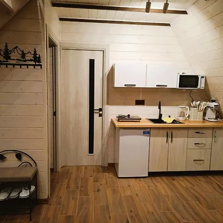 Apartment відпочинок в карпатах *