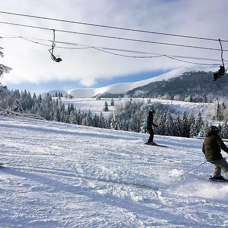 відпочинок в карпатах Izki