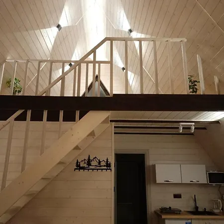 Apartment відпочинок в карпатах *